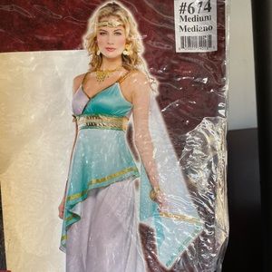 Grecian Goddess Costume